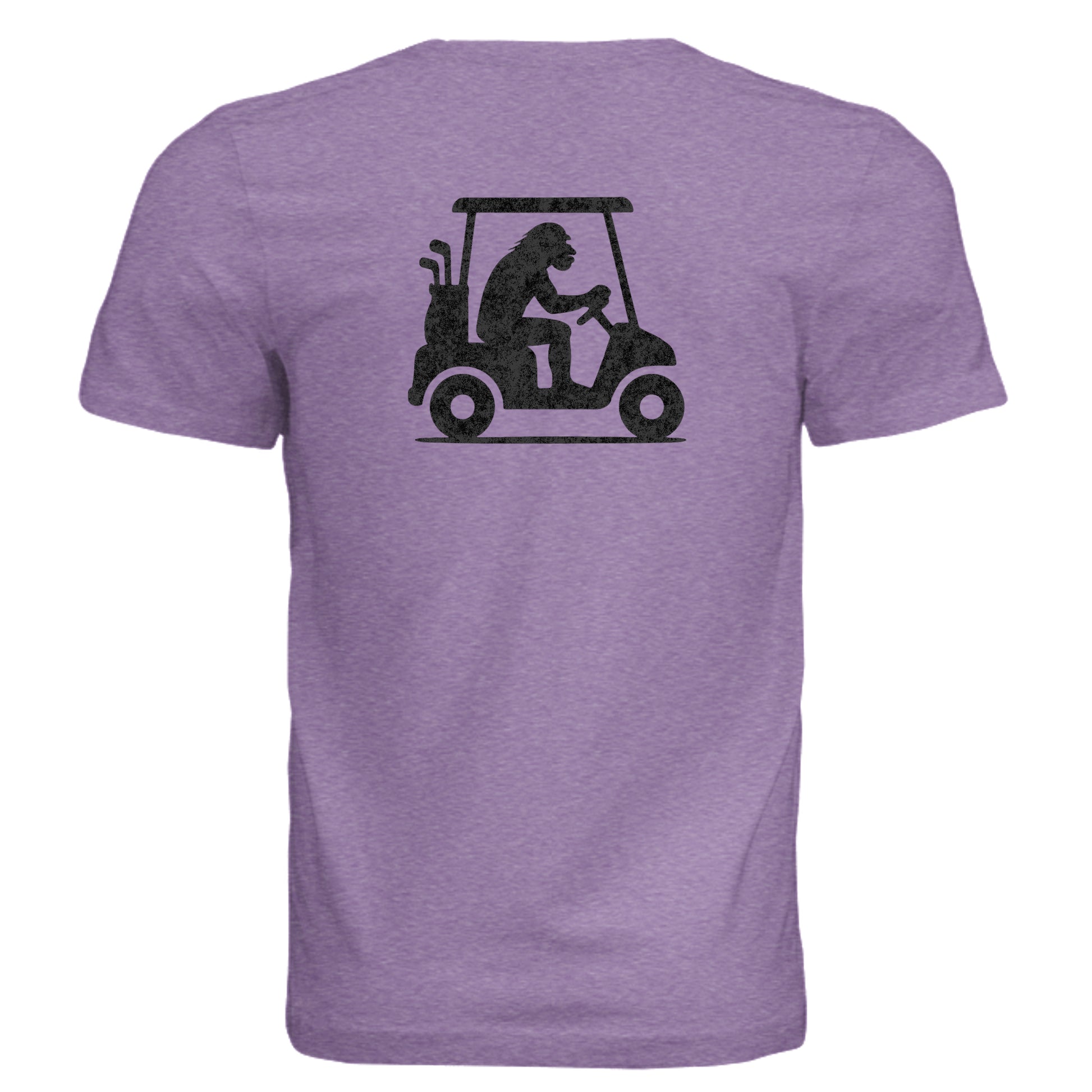 PURPLE TRIBLEND - 3413C - BACK